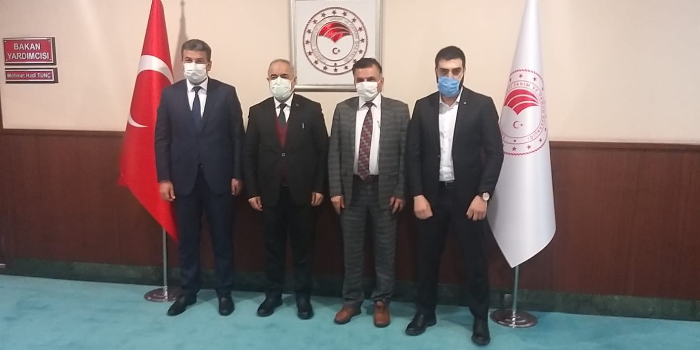 161771013_869150393927595_2842002318392653242_o